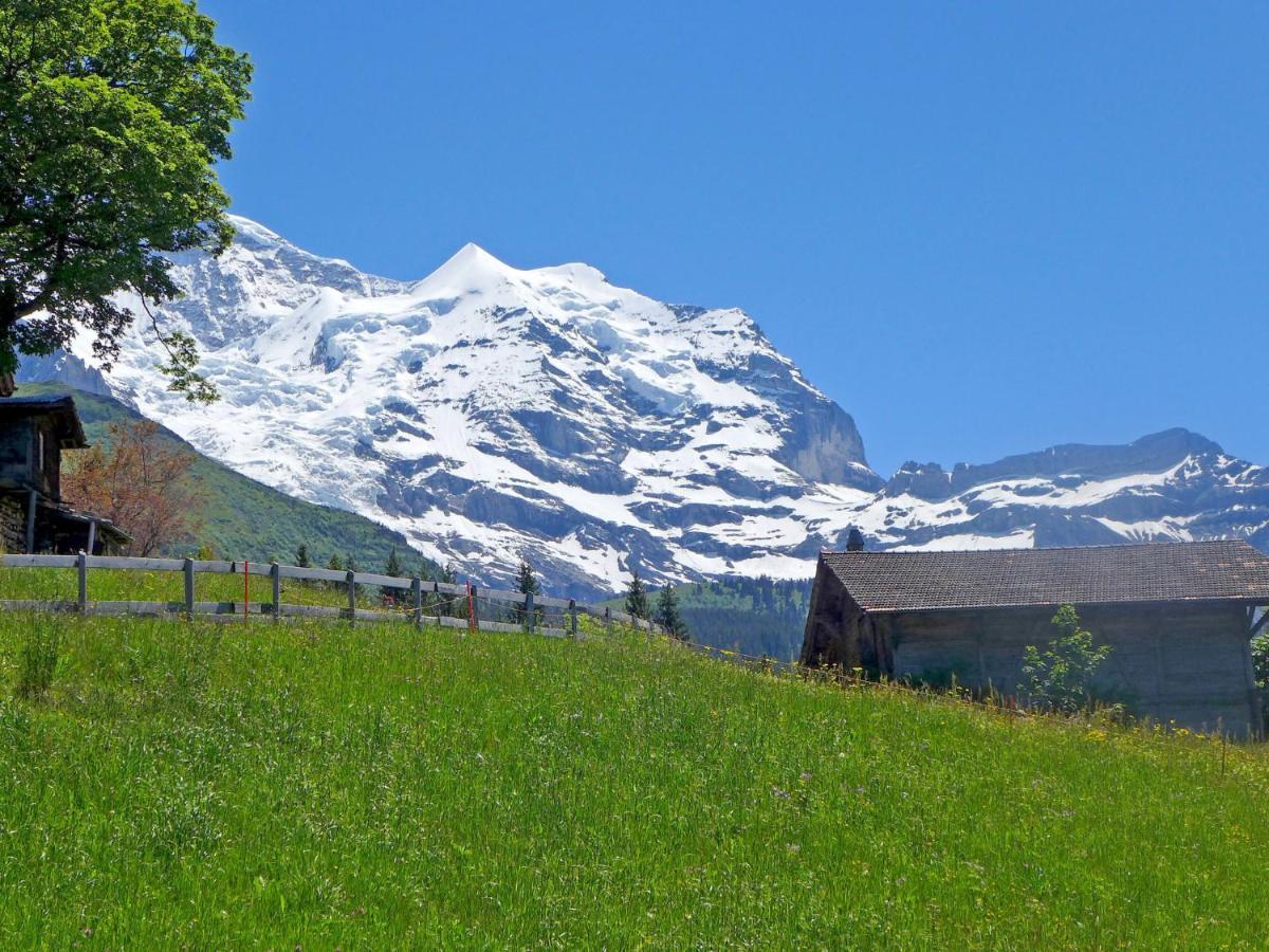 Apartment Tschingelhorn By Interhome Wengen Exterior foto