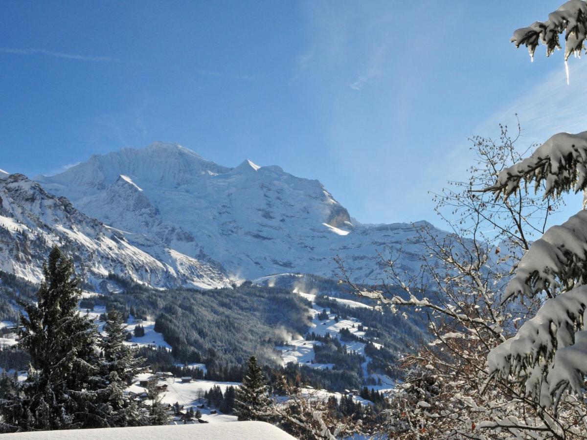 Apartment Tschingelhorn By Interhome Wengen Exterior foto